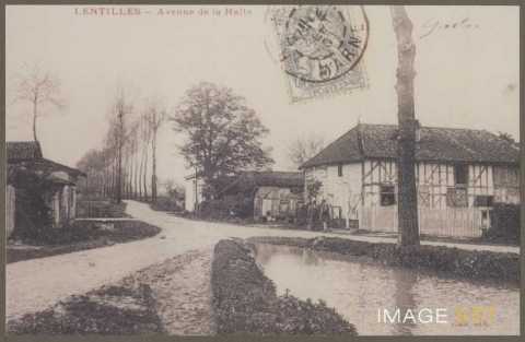 Avenue de la Halte (Lentilles)